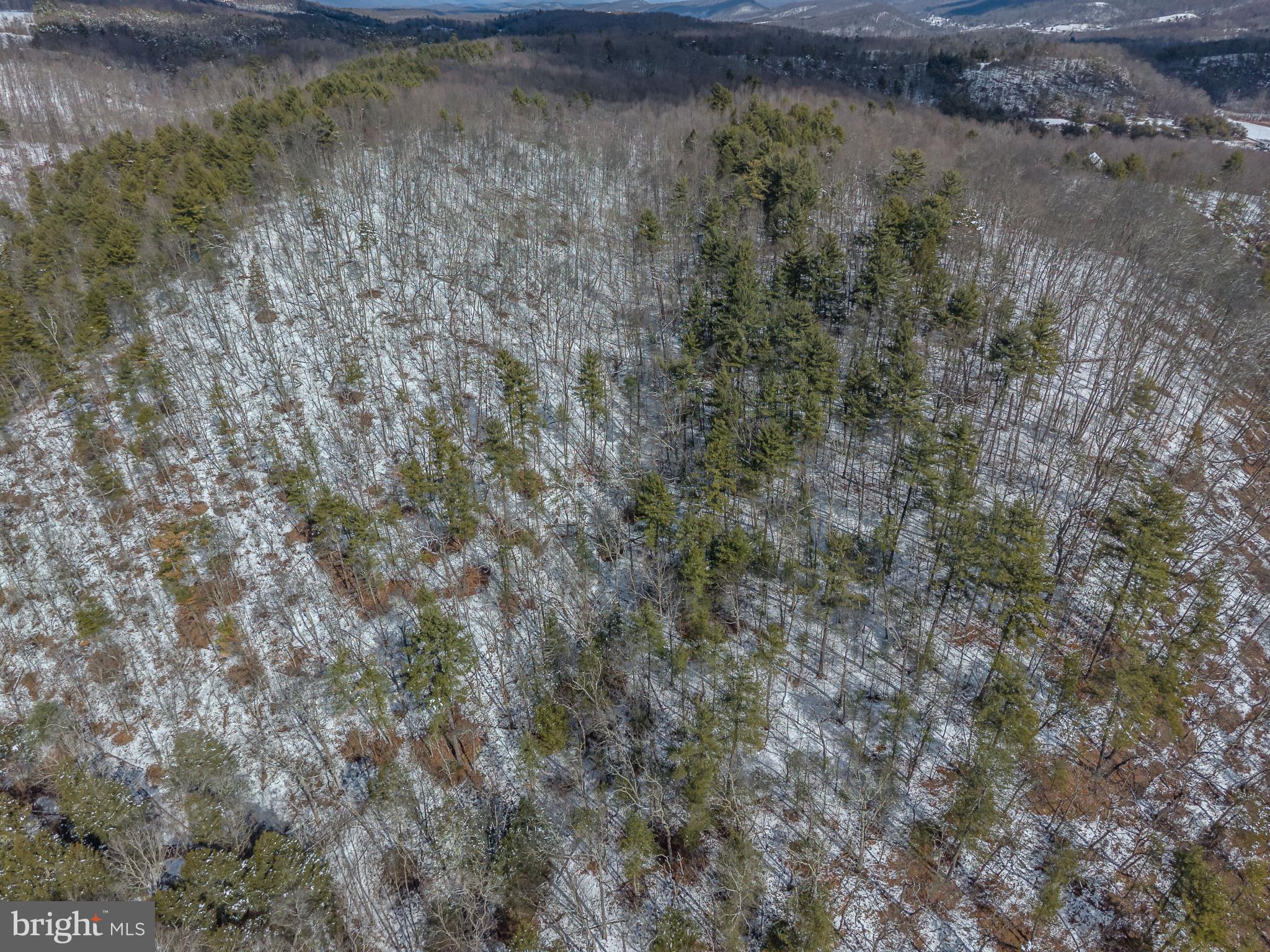 21697 View Drive Three Springs, PA 17264 - Photo 36 of 66 Snowy woodland landscape in winter's embrace.