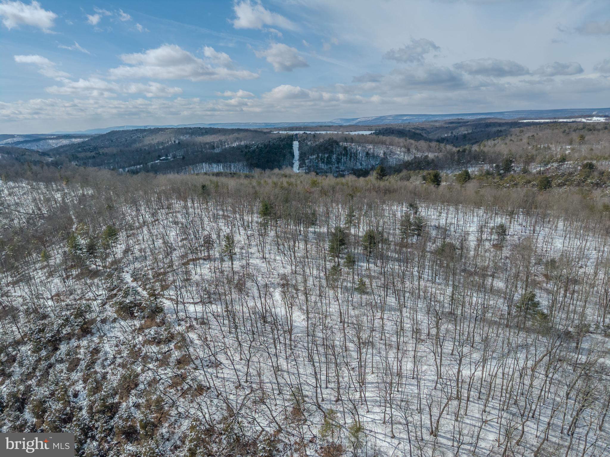 21697 View Drive Three Springs, PA 17264 - Photo 37 of 66 Winter's serene landscape of snow-covered hills.