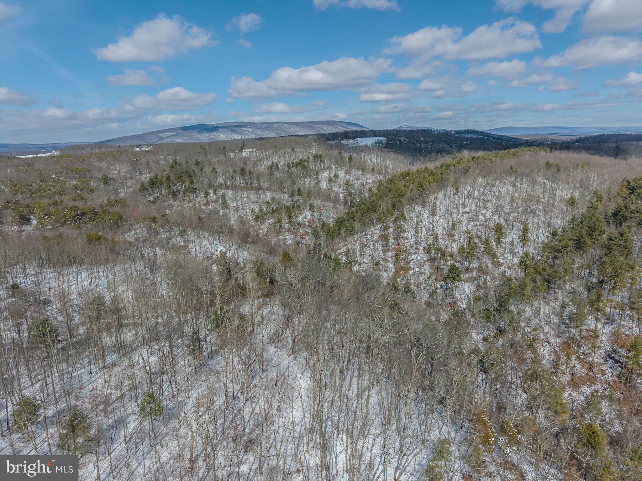 21697 View Drive Three Springs, PA 17264 - Photo 38 of 66 Winter's serene embrace on rolling hills.