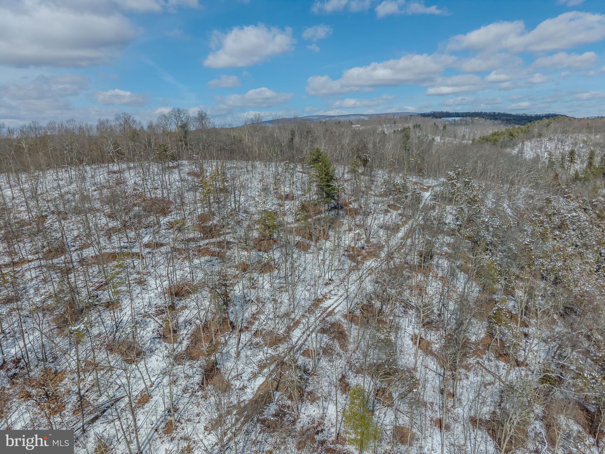 21697 View Drive Three Springs, PA 17264 - Photo 39 of 66 Winter's embrace on a tranquil landscape.