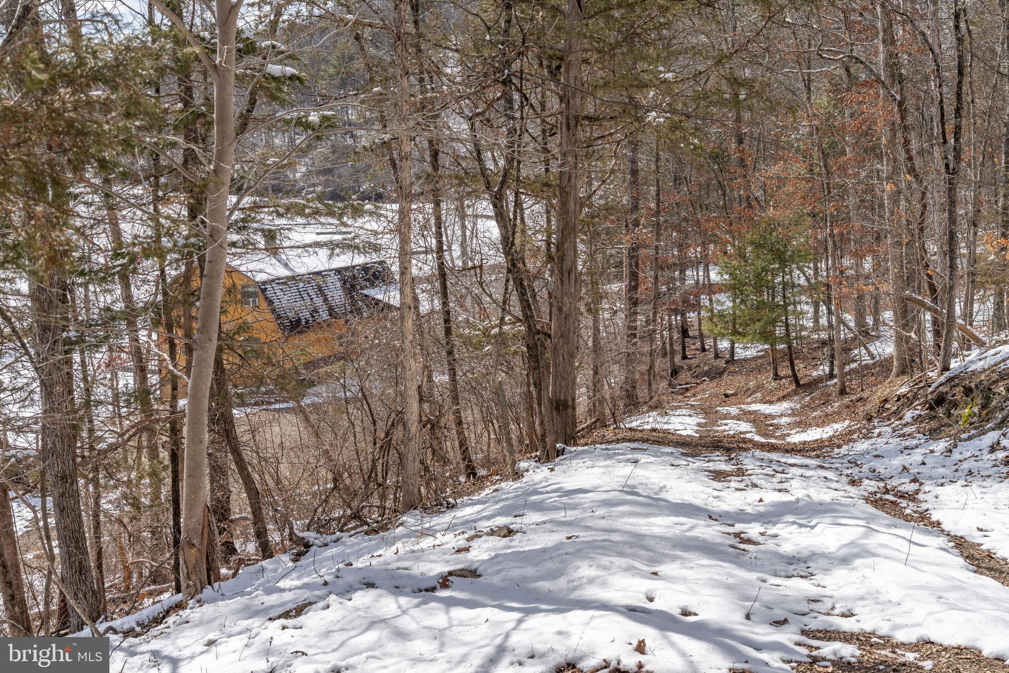 21697 View Drive Three Springs, PA 17264 - Photo 51 of 66