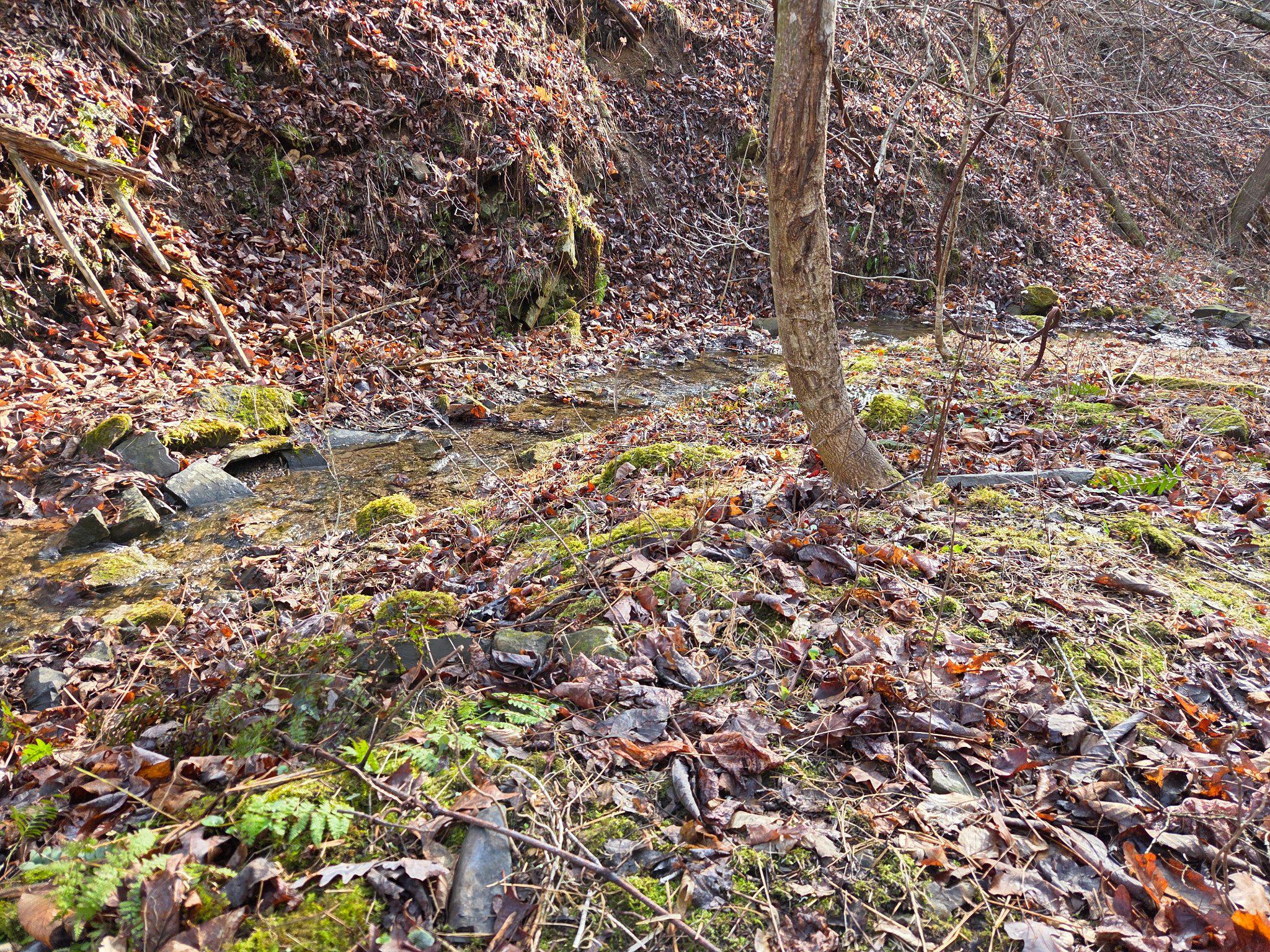 21697 View Drive Three Springs, PA 17264 - Photo 61 of 66 Tranquil stream amidst springtime beauty