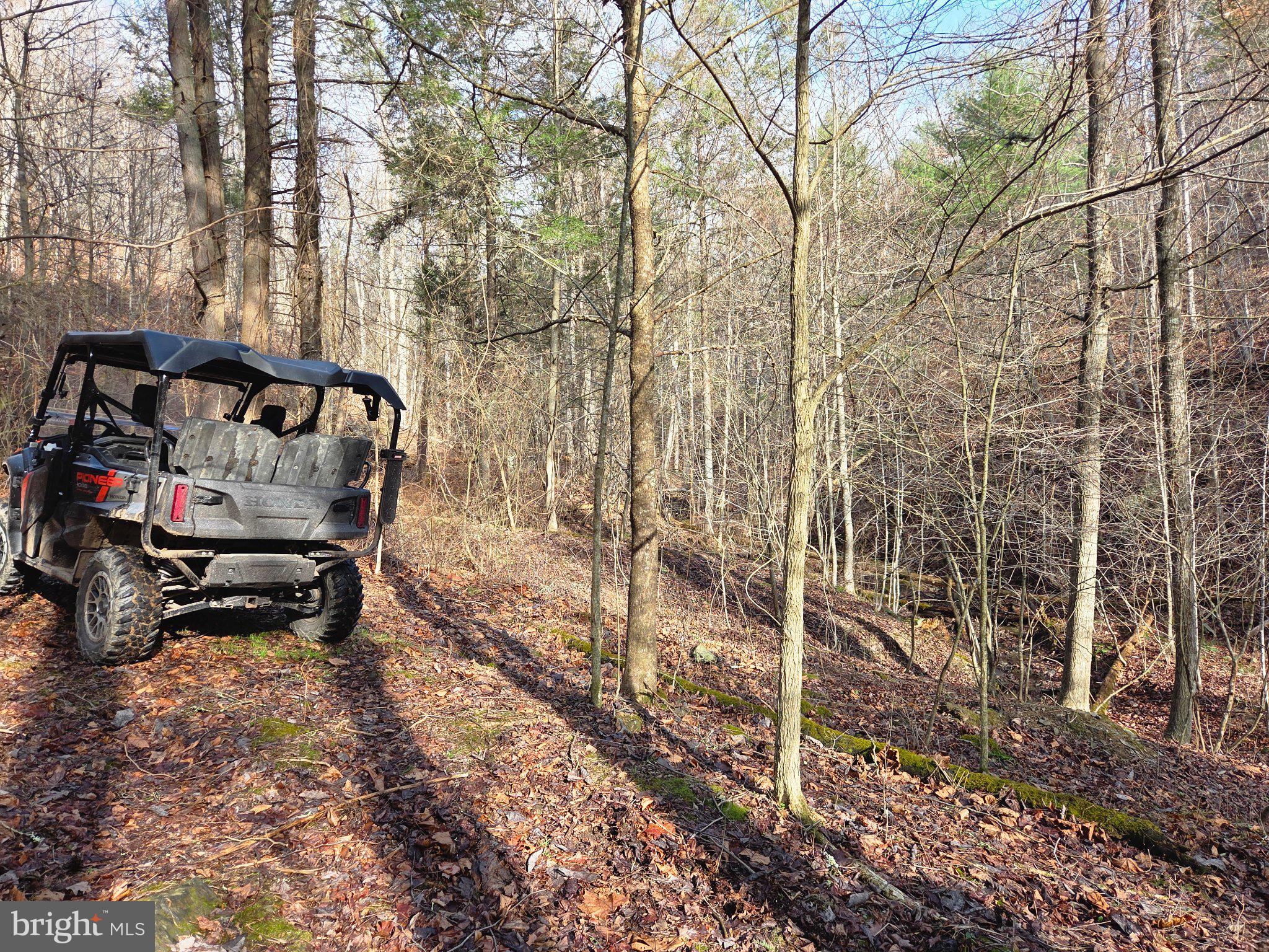 21697 View Drive Three Springs, PA 17264 - Photo 62 of 66 Adventure Awaits in the Woods