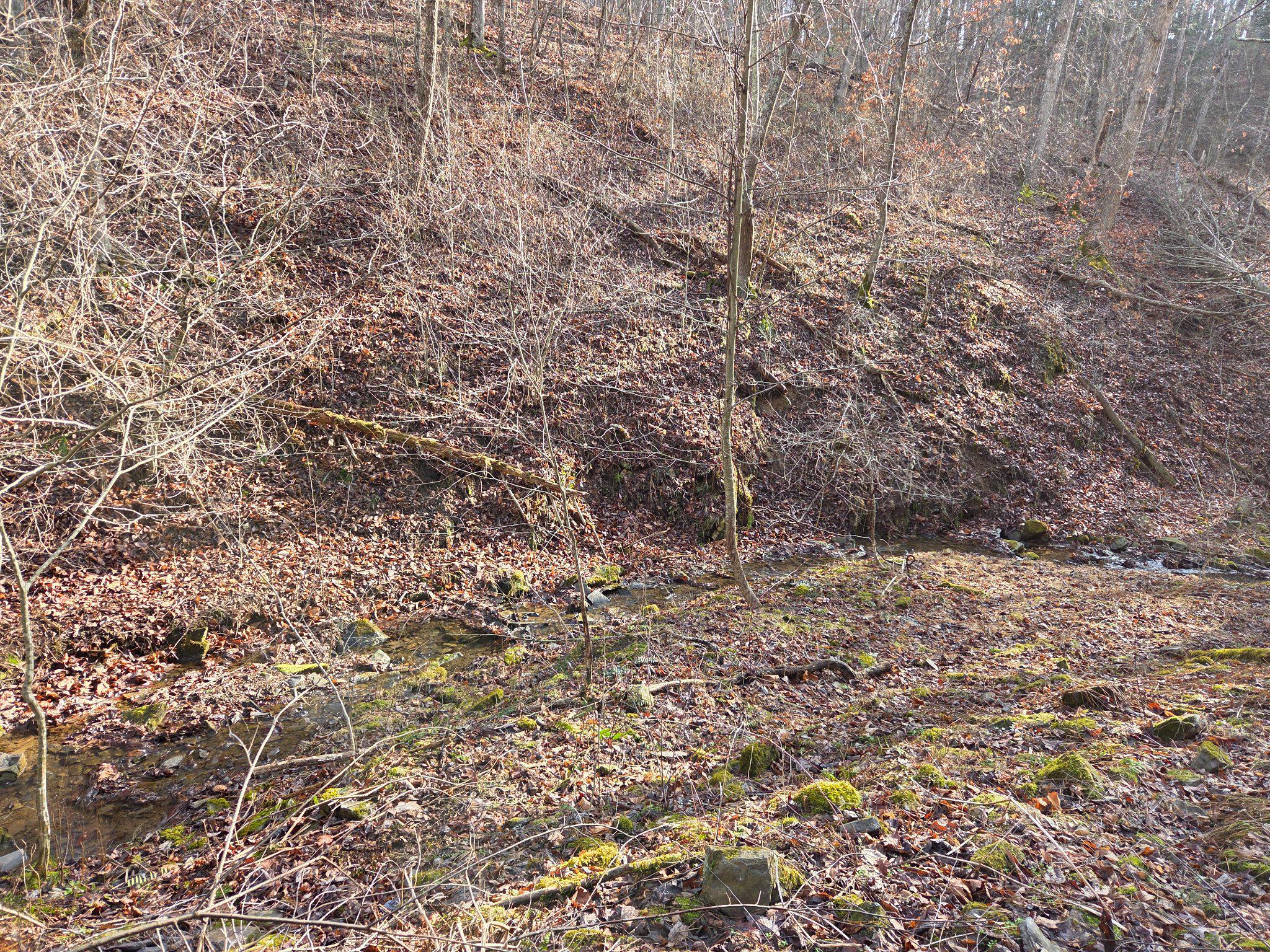 21697 View Drive Three Springs, PA 17264 - Photo 64 of 66 Hunt a pinch point!