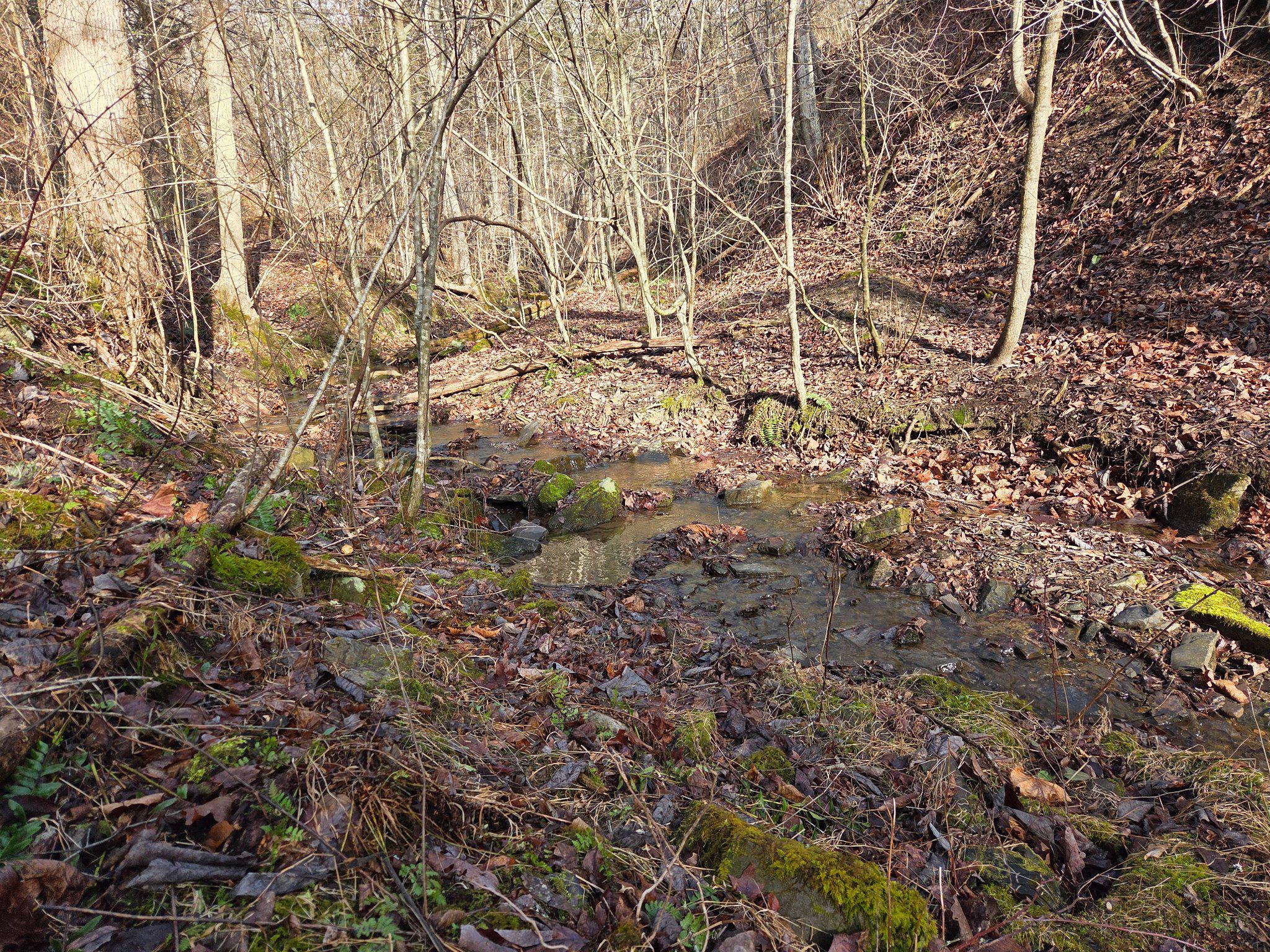 21697 View Drive Three Springs, PA 17264 - Photo 65 of 66 stream in hollow