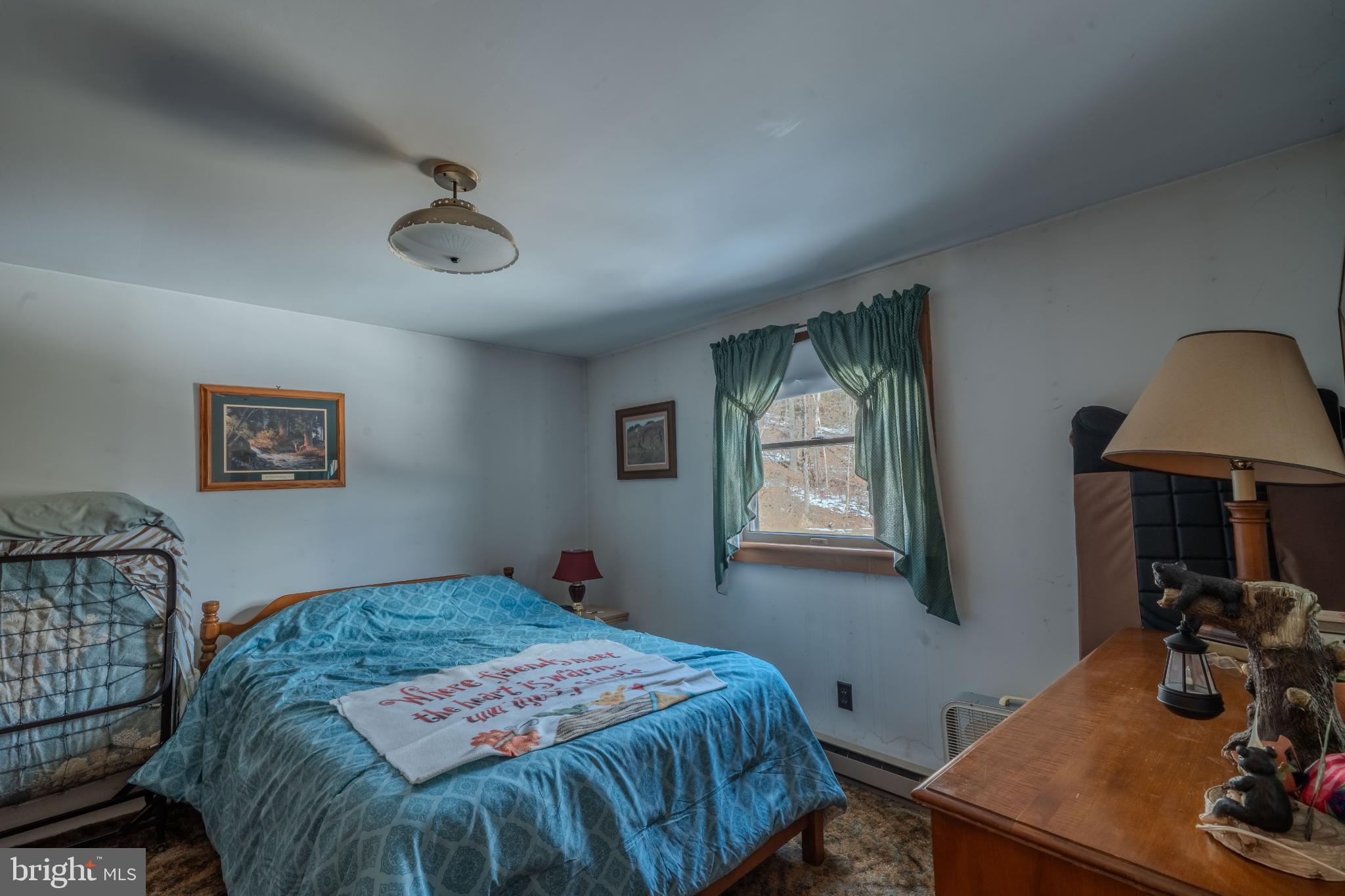 21697 View Drive Three Springs, PA 17264 - Photo 8 of 66 Cozy bedroom with natural light and charm.