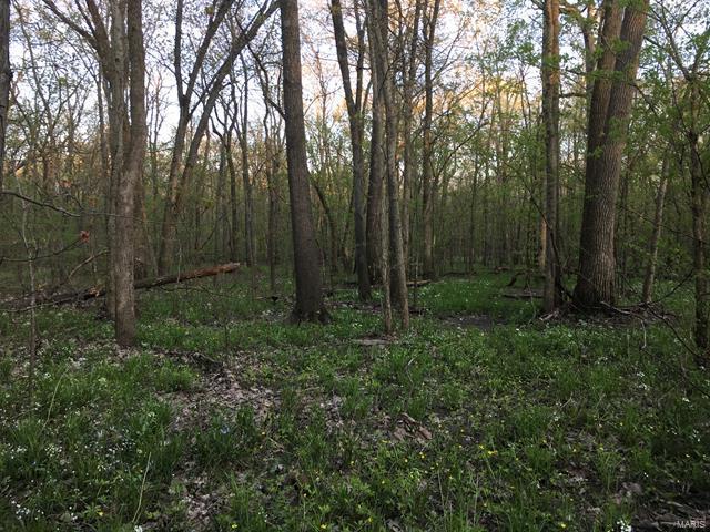 0 Emerald Road Carlyle, IL 62231 - Photo 11 of 17