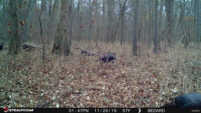 0 Emerald Road Carlyle, IL 62231 - Photo 15 of 17