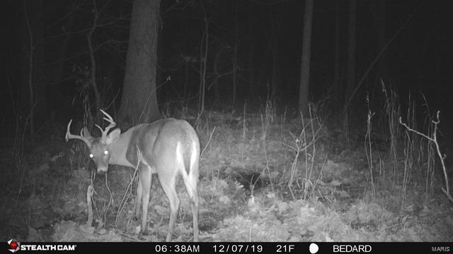 0 Emerald Road Carlyle, IL 62231 - Photo 16 of 17