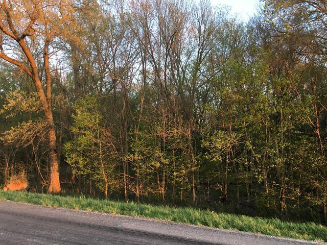 0 Emerald Road Carlyle, IL 62231 - Photo 3 of 17