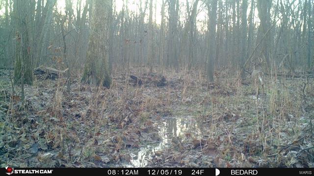 0 Emerald Road Carlyle, IL 62231 - Photo 7 of 17