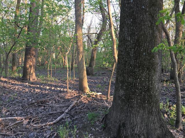 0 Emerald Road Carlyle, IL 62231 - Photo 10 of 17