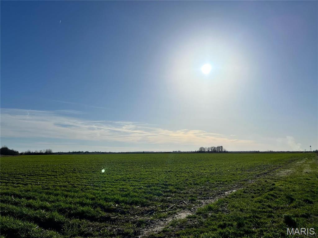 0 County Road 488 Steele, MO 63877 - Photo 4 of 5