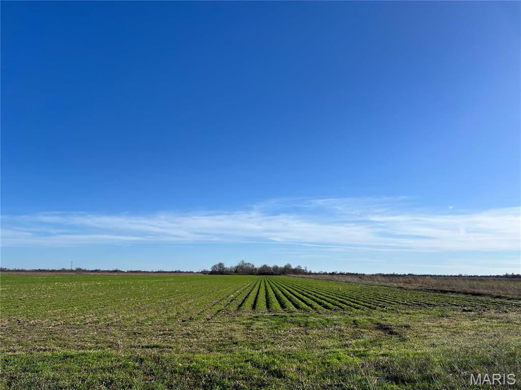 0 County Road 488 Steele, MO 63877 - Photo 5 of 5