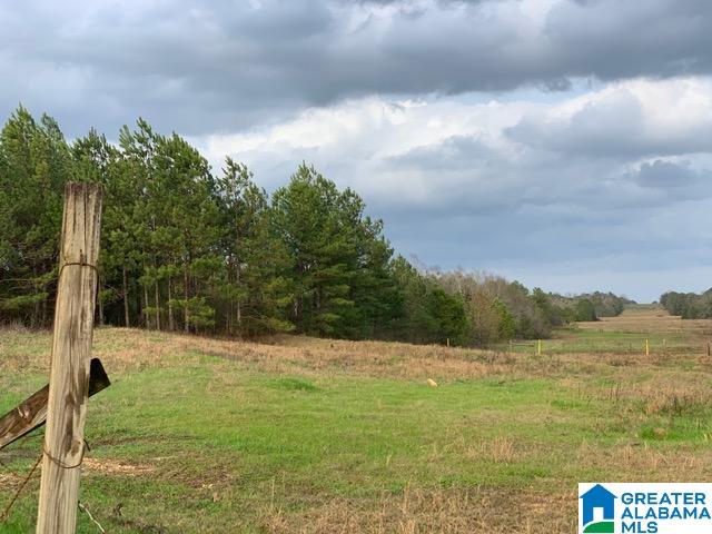 0 County Road 99, Unit 1 Verbena, AL 36091 - Photo 5 of 11