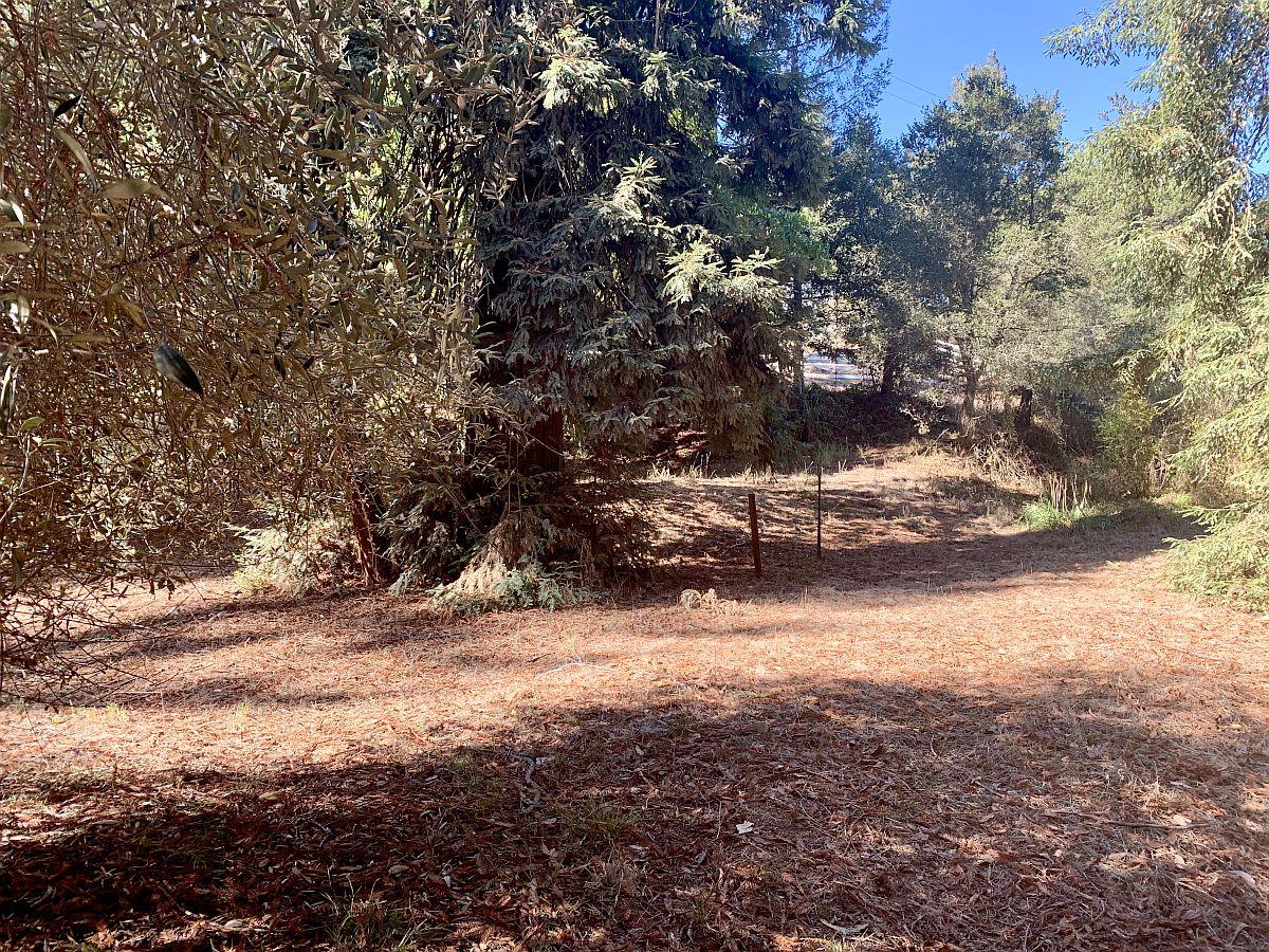 2060 Cox Road Aptos, CA 95003 - Photo 65 of 73 Gallery Image 65