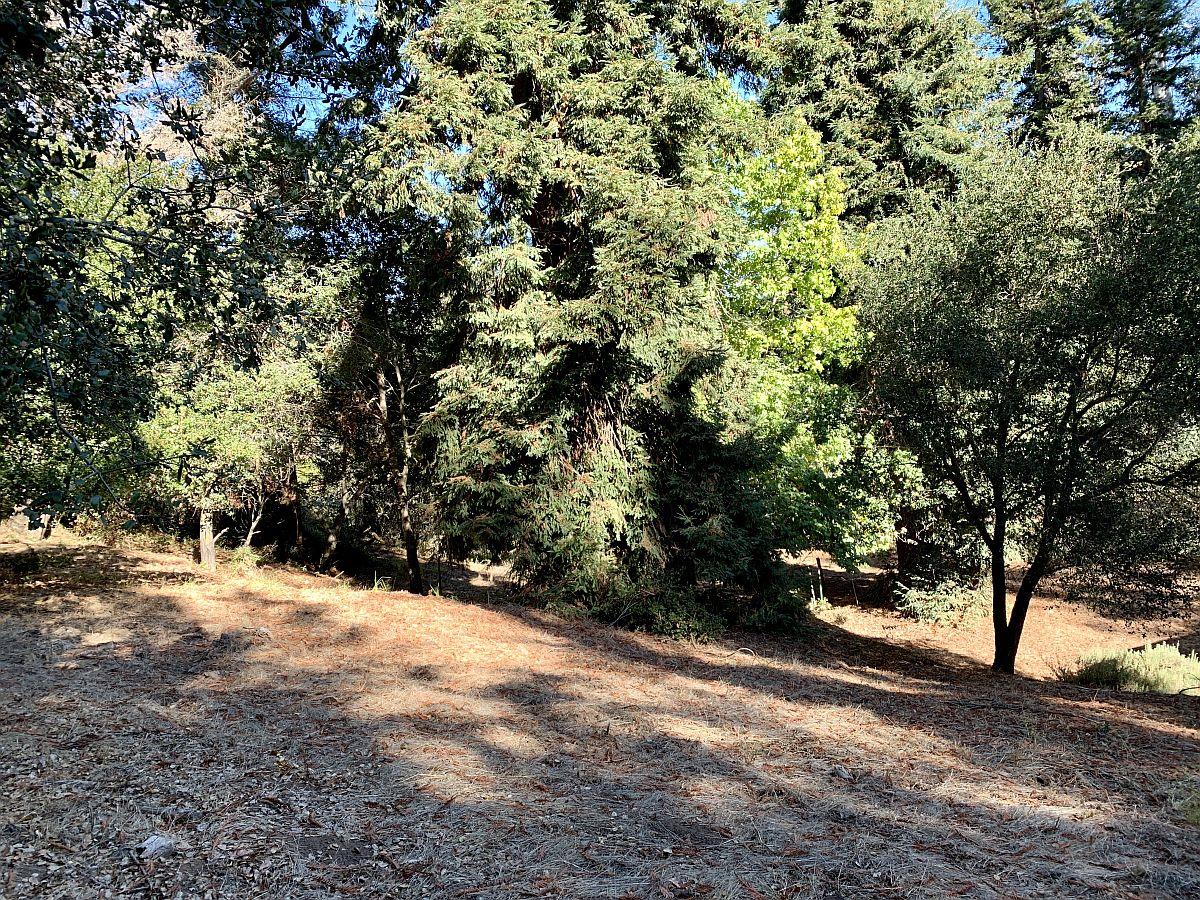 2060 Cox Road Aptos, CA 95003 - Photo 71 of 73 Gallery Image 71