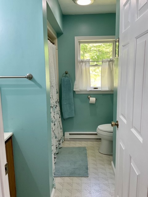 118 Snowburg Road Southport, NY 14871 - Photo 14 of 50 Full Bath on main