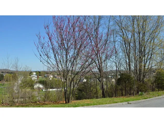 $32,500 | 214 Alfalfa Lane, Unit 16, Jonesborough, TN 37659