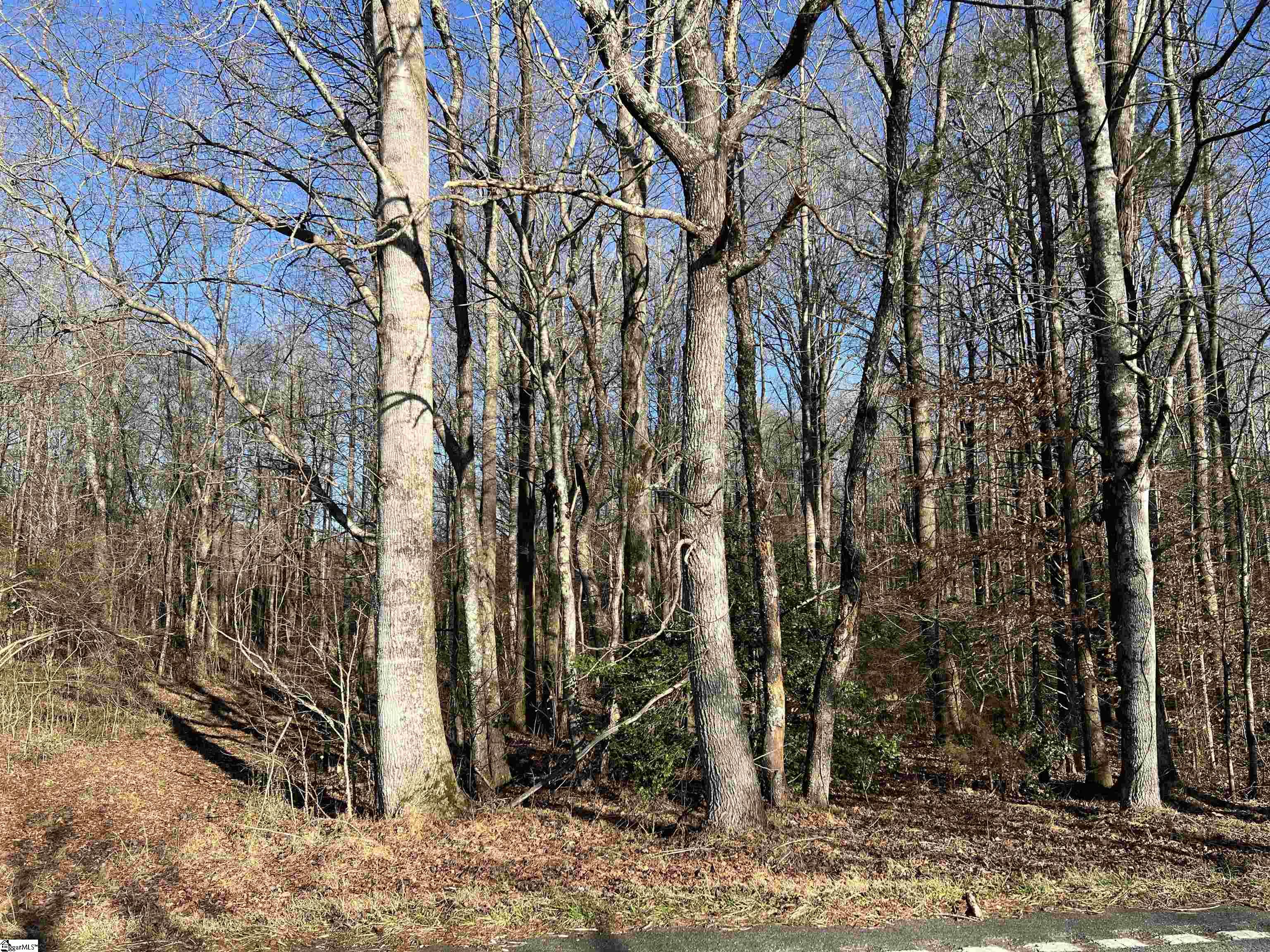 0 Hester Store Road, Unit LOT 3 Easley, SC 29640 - Photo 1 of 18 Gallery Image 1