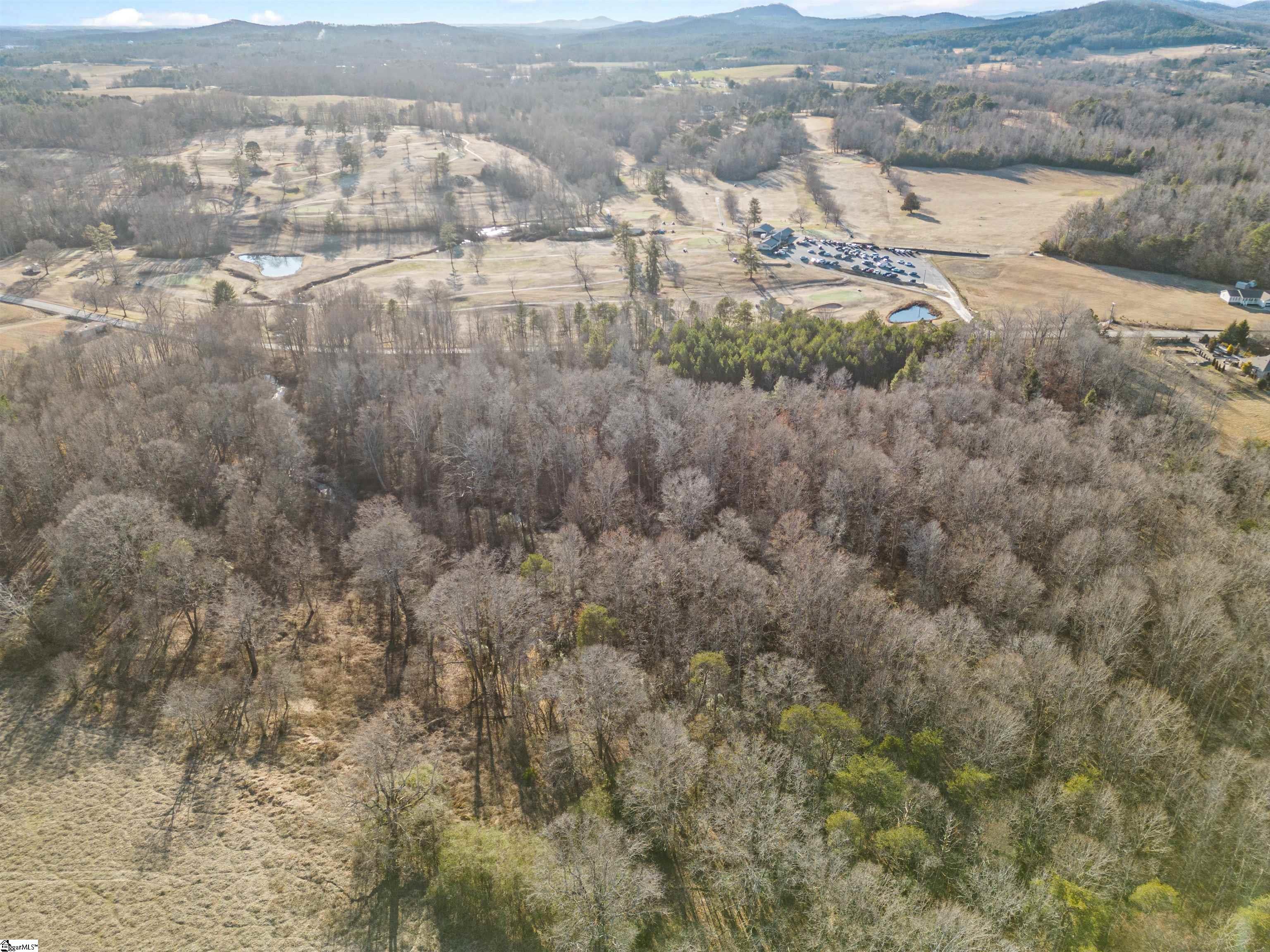 0 Hester Store Road, Unit LOT 3 Easley, SC 29640 - Photo 13 of 18 Gallery Image 13