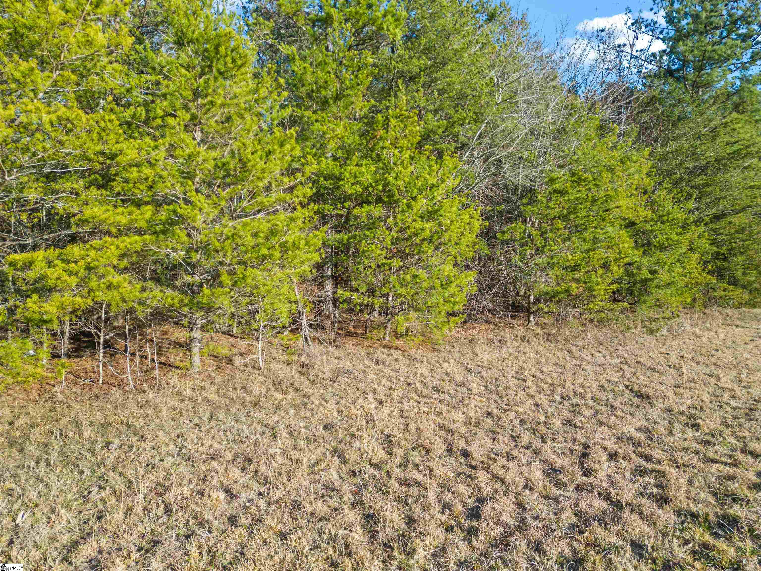 0 Hester Store Road, Unit LOT 3 Easley, SC 29640 - Photo 17 of 18 Gallery Image 17
