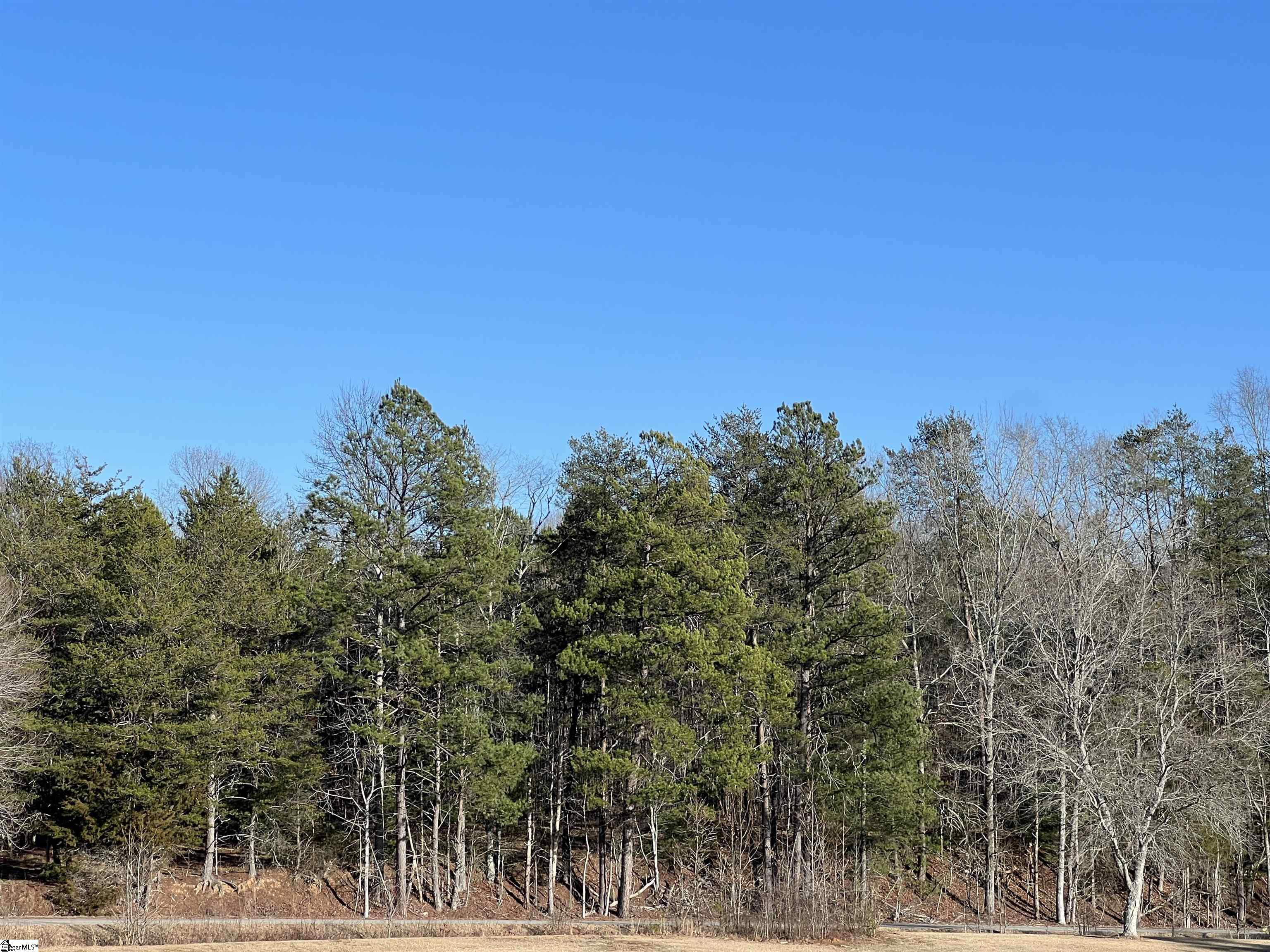 0 Hester Store Road, Unit LOT 3 Easley, SC 29640 - Photo 3 of 18 Gallery Image 3