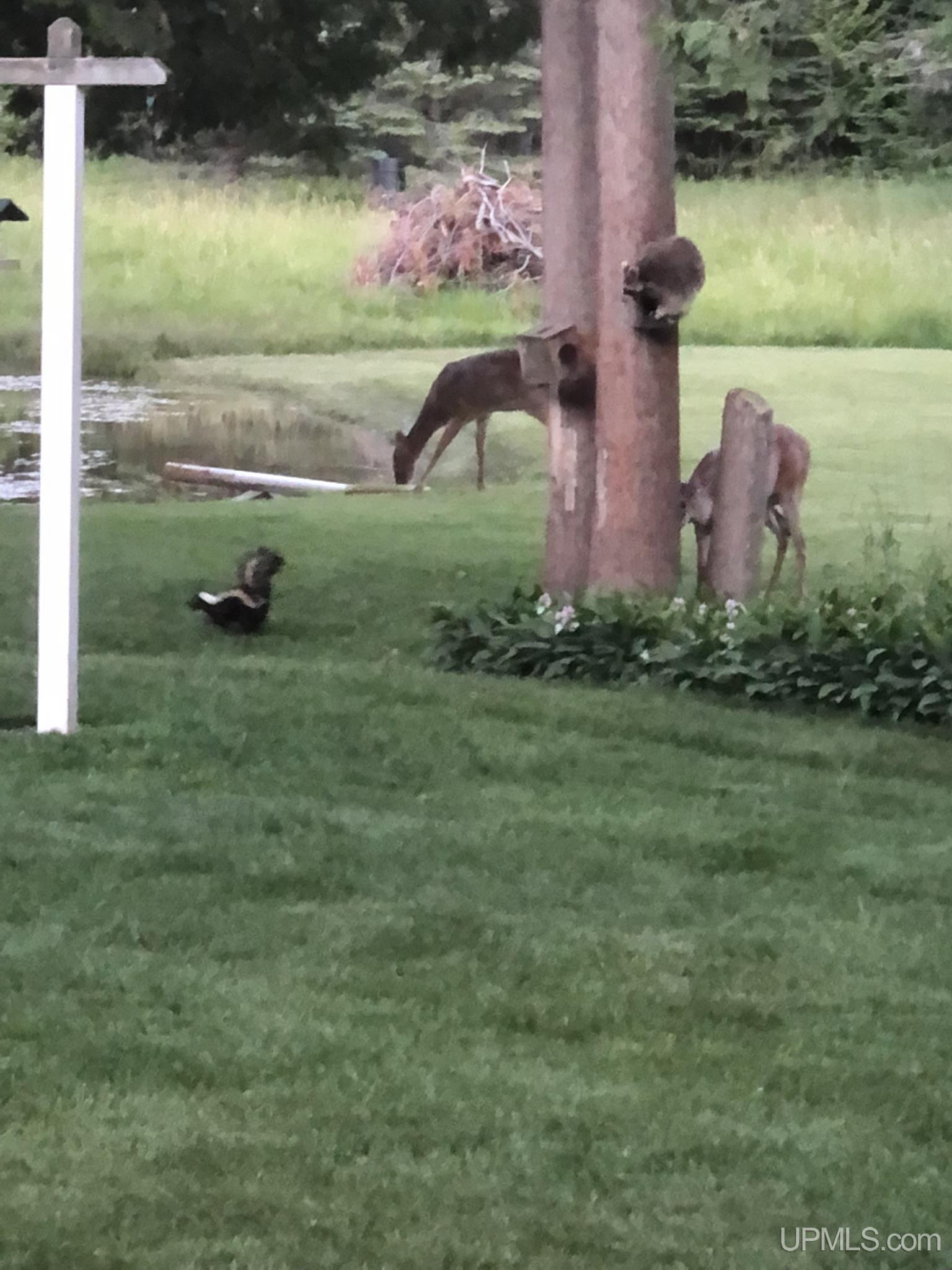 7975 25 Rd Garden Garden, MI 49835 - Photo 96 of 98