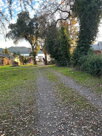 a view of a field with a tree