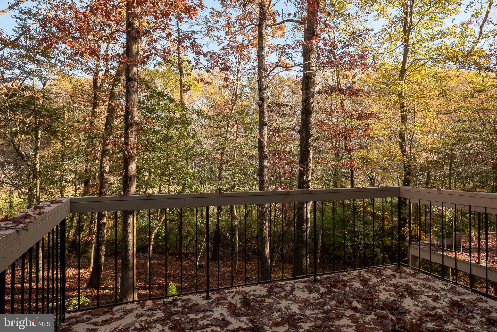 554 Herons Nest Road Annapolis, MD 21409 - Photo 18 of 49