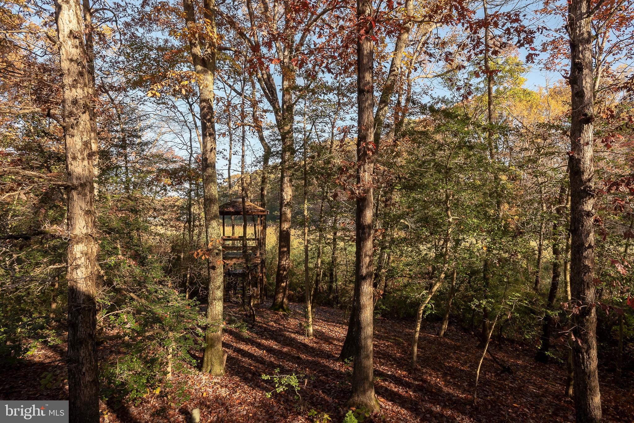 554 Herons Nest Road Annapolis, MD 21409 - Photo 19 of 49