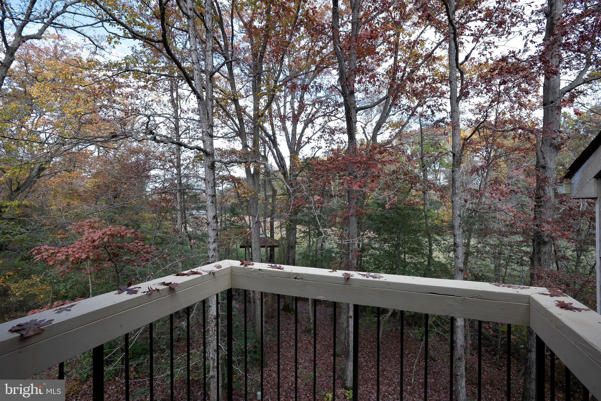 554 Herons Nest Road Annapolis, MD 21409 - Photo 24 of 49