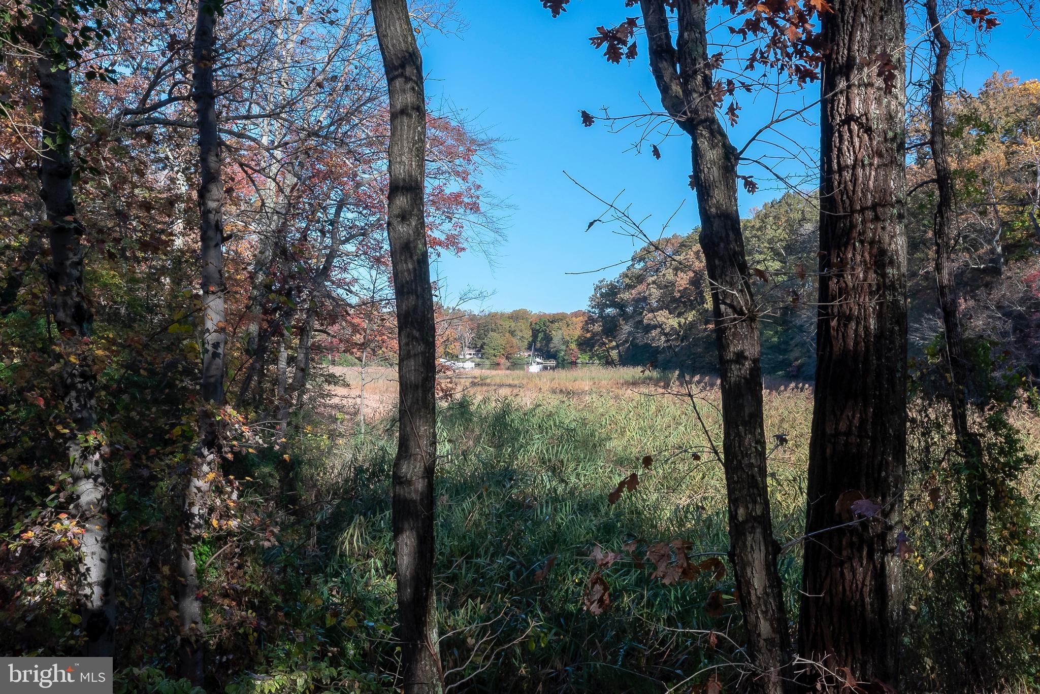 554 Herons Nest Road Annapolis, MD 21409 - Photo 42 of 49