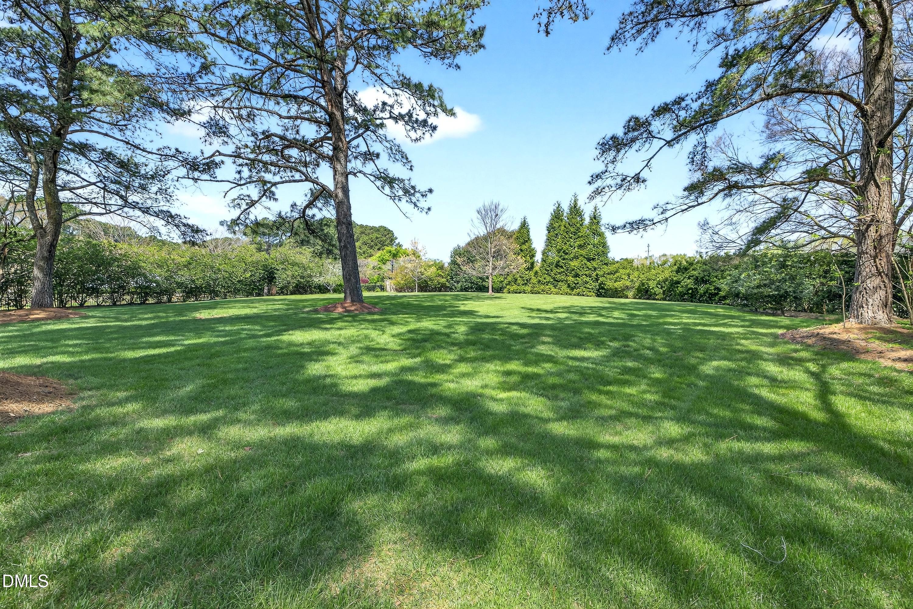 3701 White Chapel Way Raleigh, NC 27614 - Photo 53 of 64 Scene-81