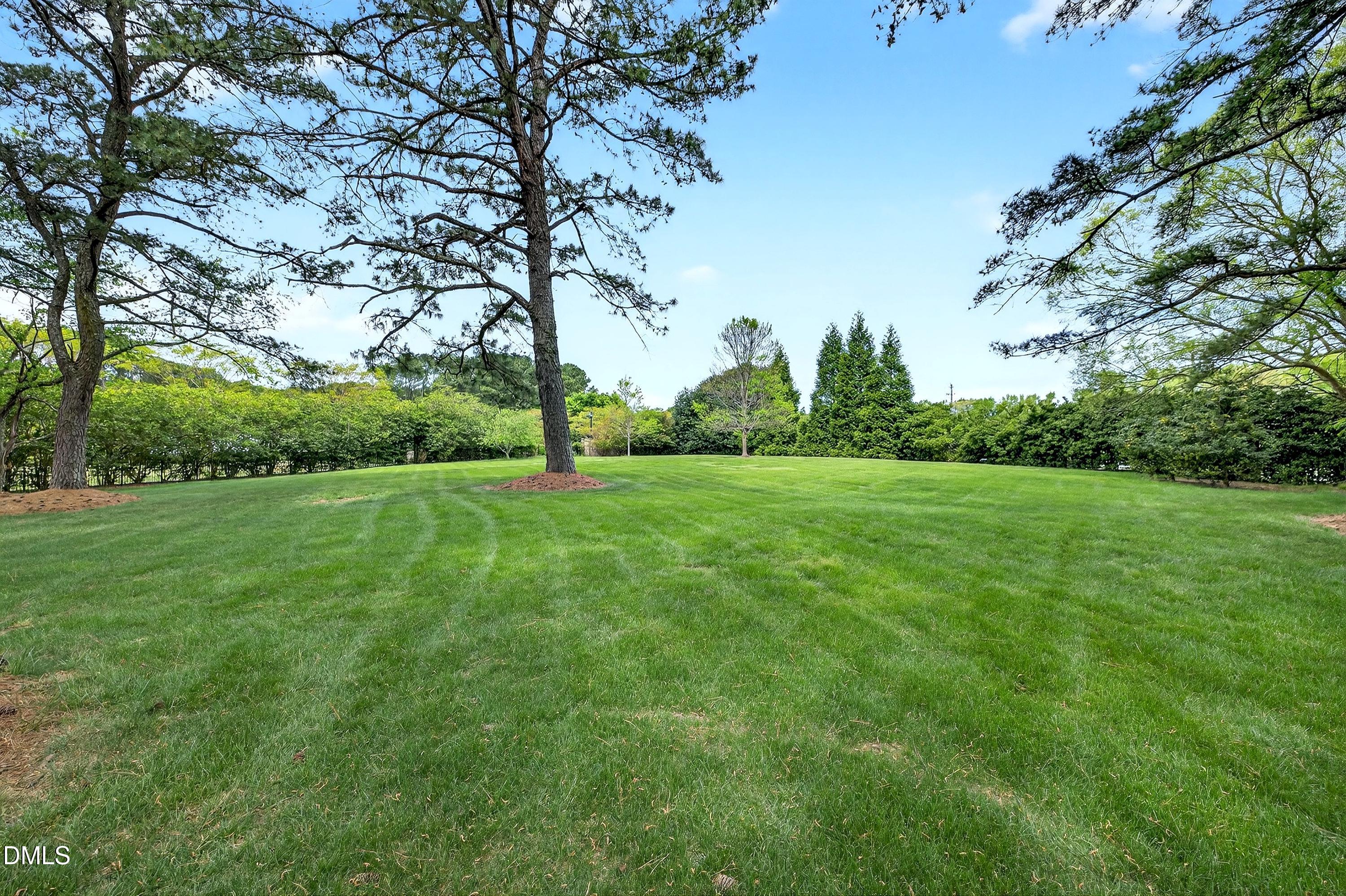 3701 White Chapel Way Raleigh, NC 27614 - Photo 54 of 64 Scene-82