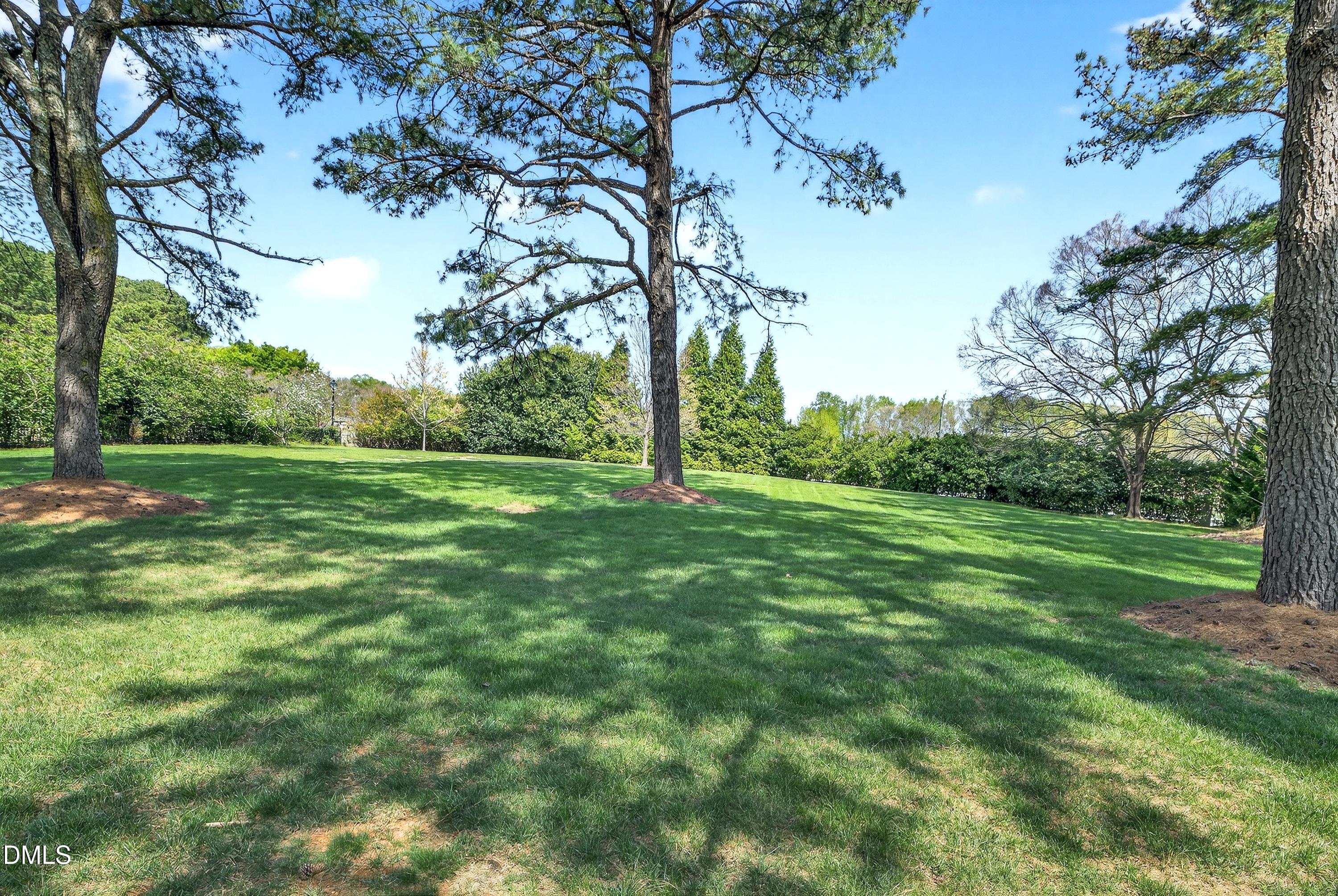 3701 White Chapel Way Raleigh, NC 27614 - Photo 55 of 64 Scene-9