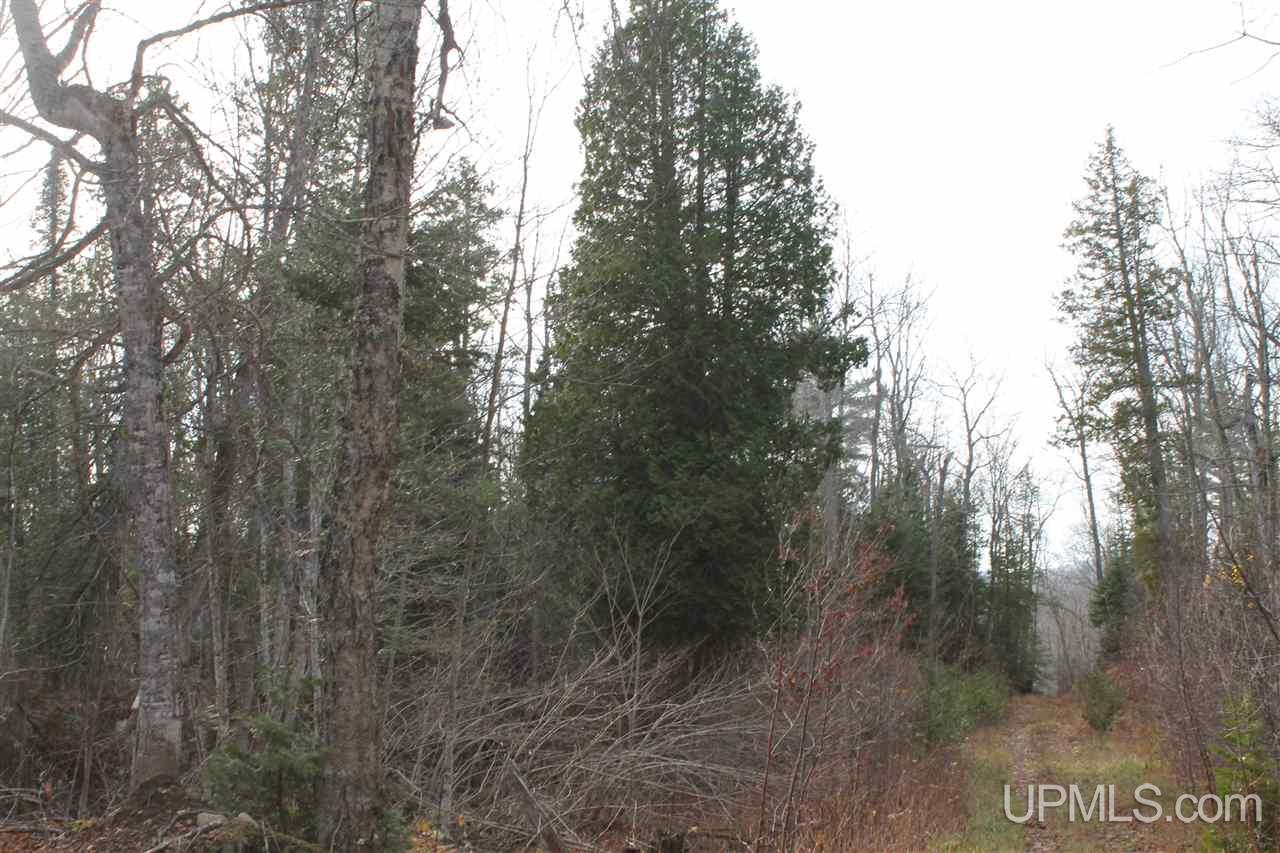 Tbd Tbd Off Mandan Loop Road Mohawk, MI 49950 - Photo 32 of 42