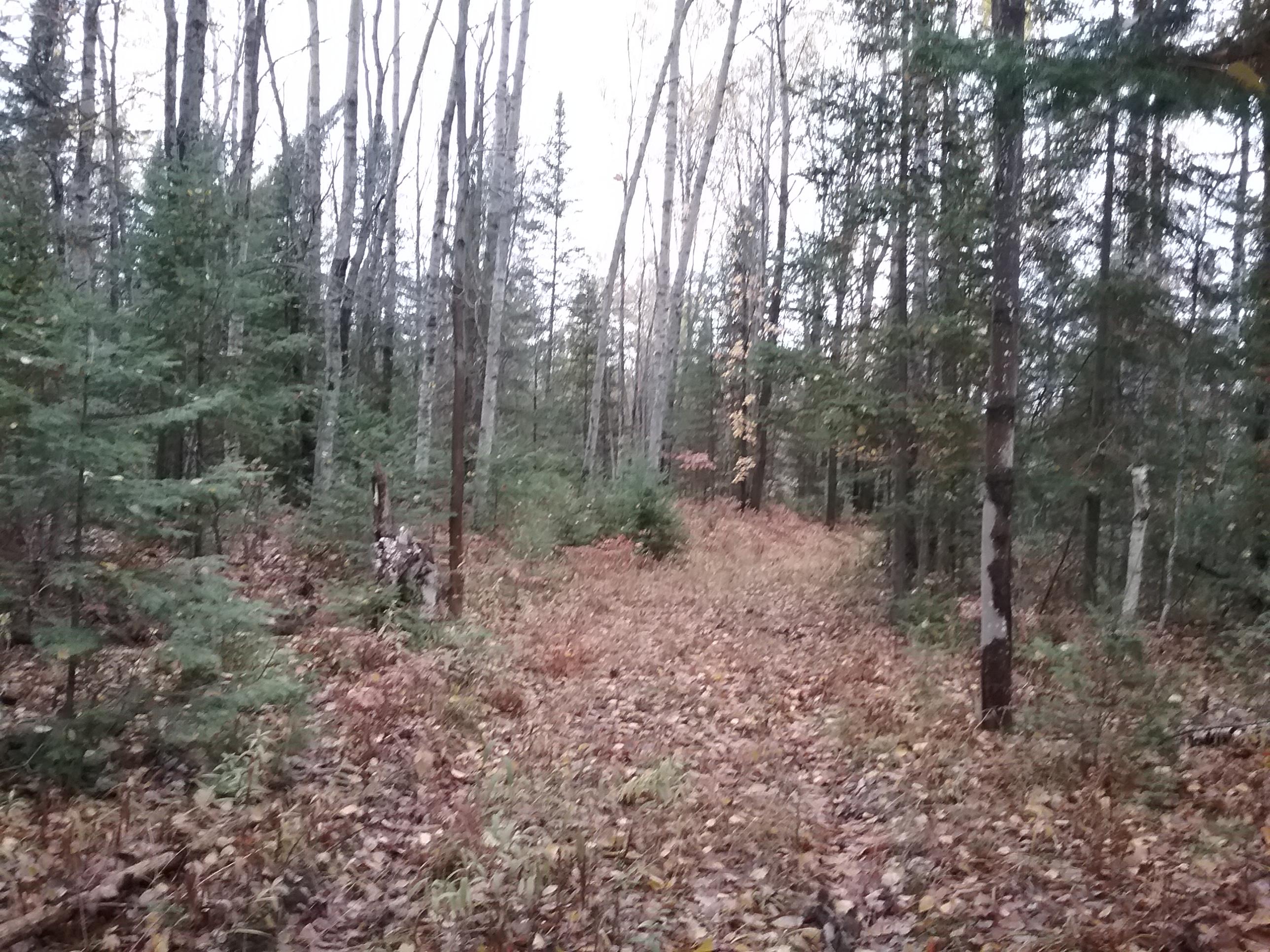 West Ostrander Road Afton, MI 49705 - Photo 5 of 11 Gallery Image 5