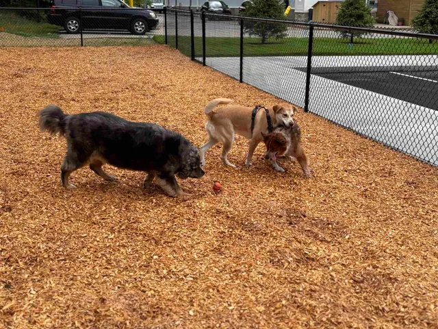 $659,900 | 80 Constitution Avenue, Unit 231, Portsmouth, NH 03801