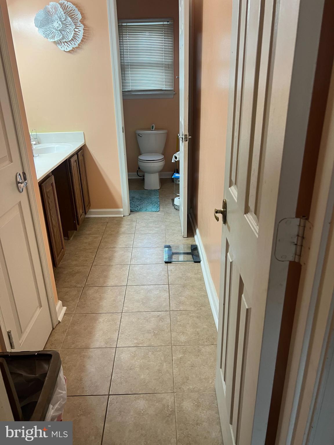 6107 Spring Meadow Lane Frederick, MD 21701 - Photo 3 of 10 a bathroom with a sink a toilet and a shower