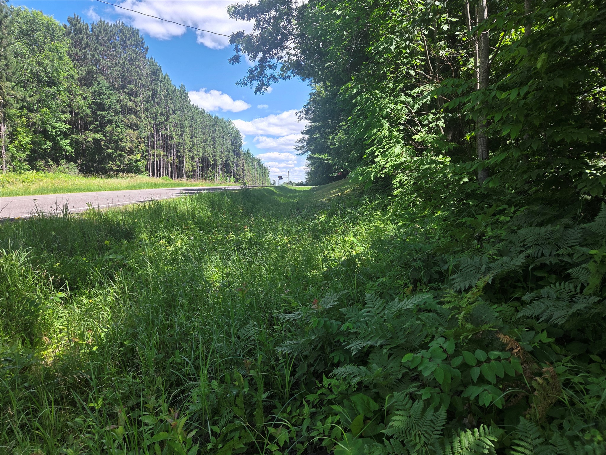 Tbd County Rd G Comstock, WI 54826 - Photo 1 of 19