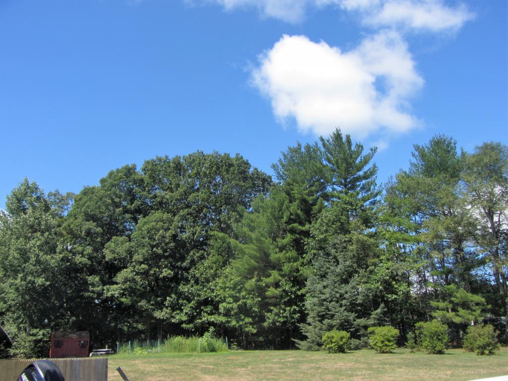 64 Plateau Ridge Road Loudon, NH 03307 - Photo 12 of 12