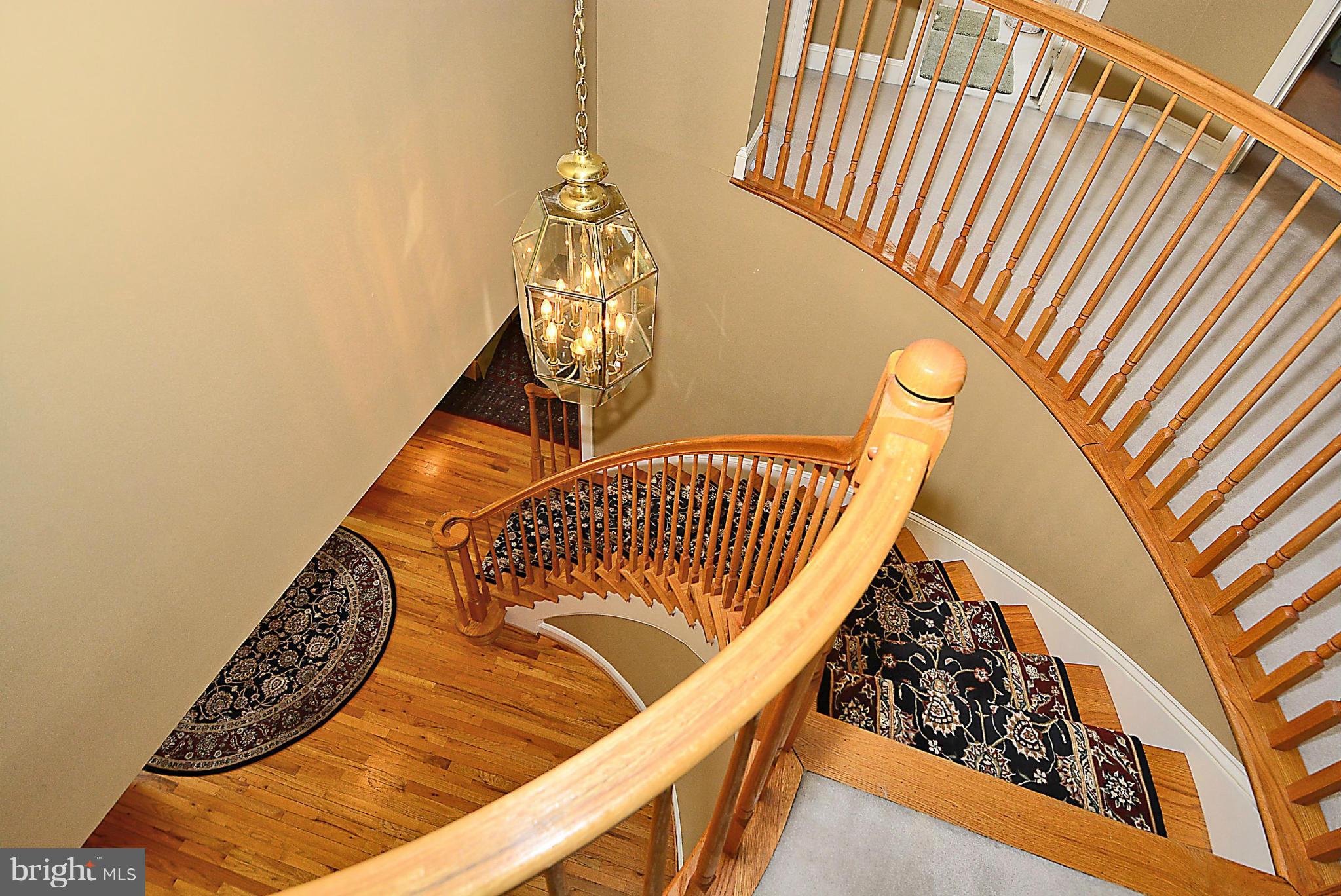 4399 Nuttall Road Fairfax, VA 22032 - Photo 13 of 30 Curved Staircase