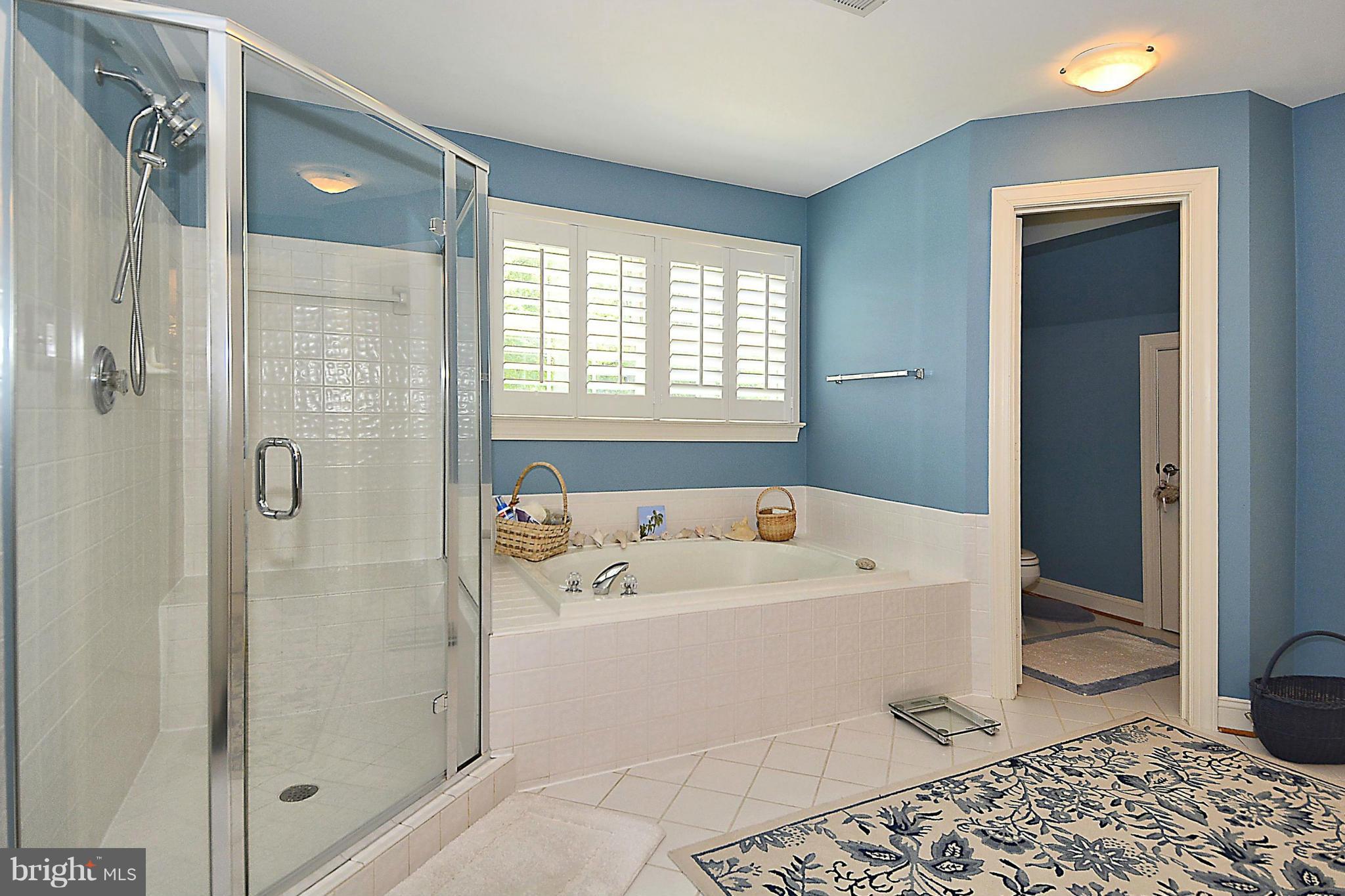 4399 Nuttall Road Fairfax, VA 22032 - Photo 18 of 30 Luxury Master Bath