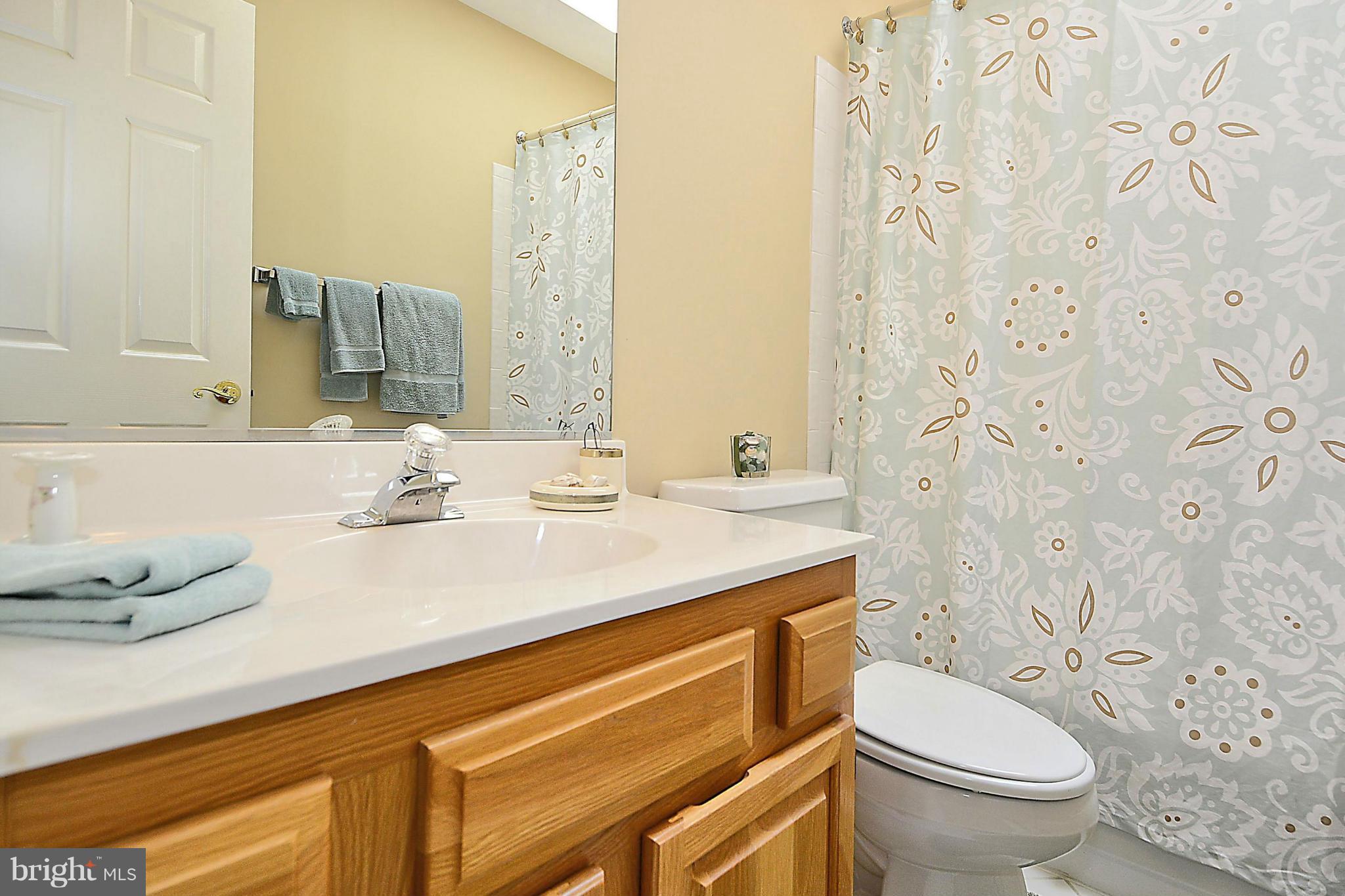 4399 Nuttall Road Fairfax, VA 22032 - Photo 20 of 30 Hall Bath with Skylight
