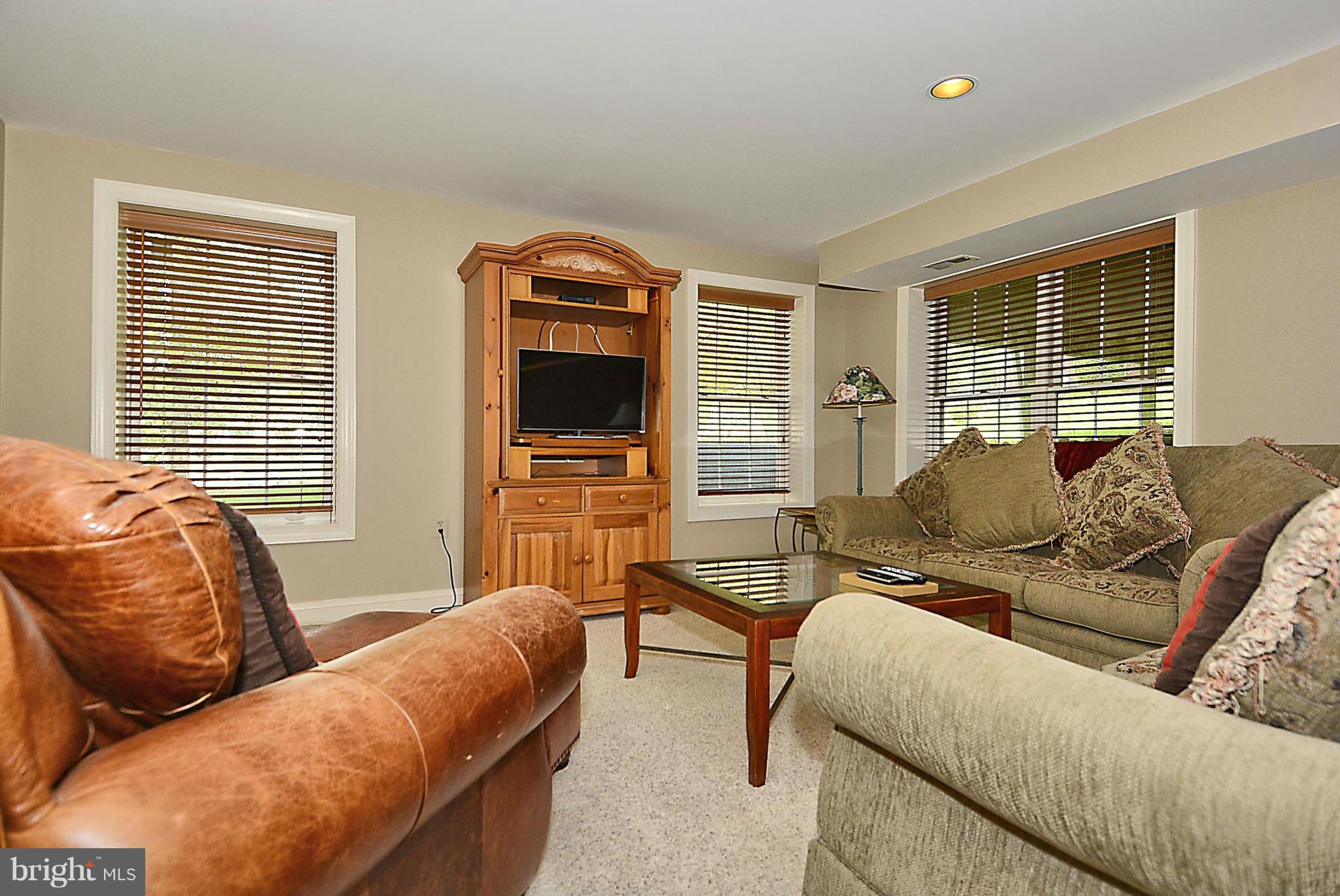 4399 Nuttall Road Fairfax, VA 22032 - Photo 23 of 30 Daylight Recreation Room