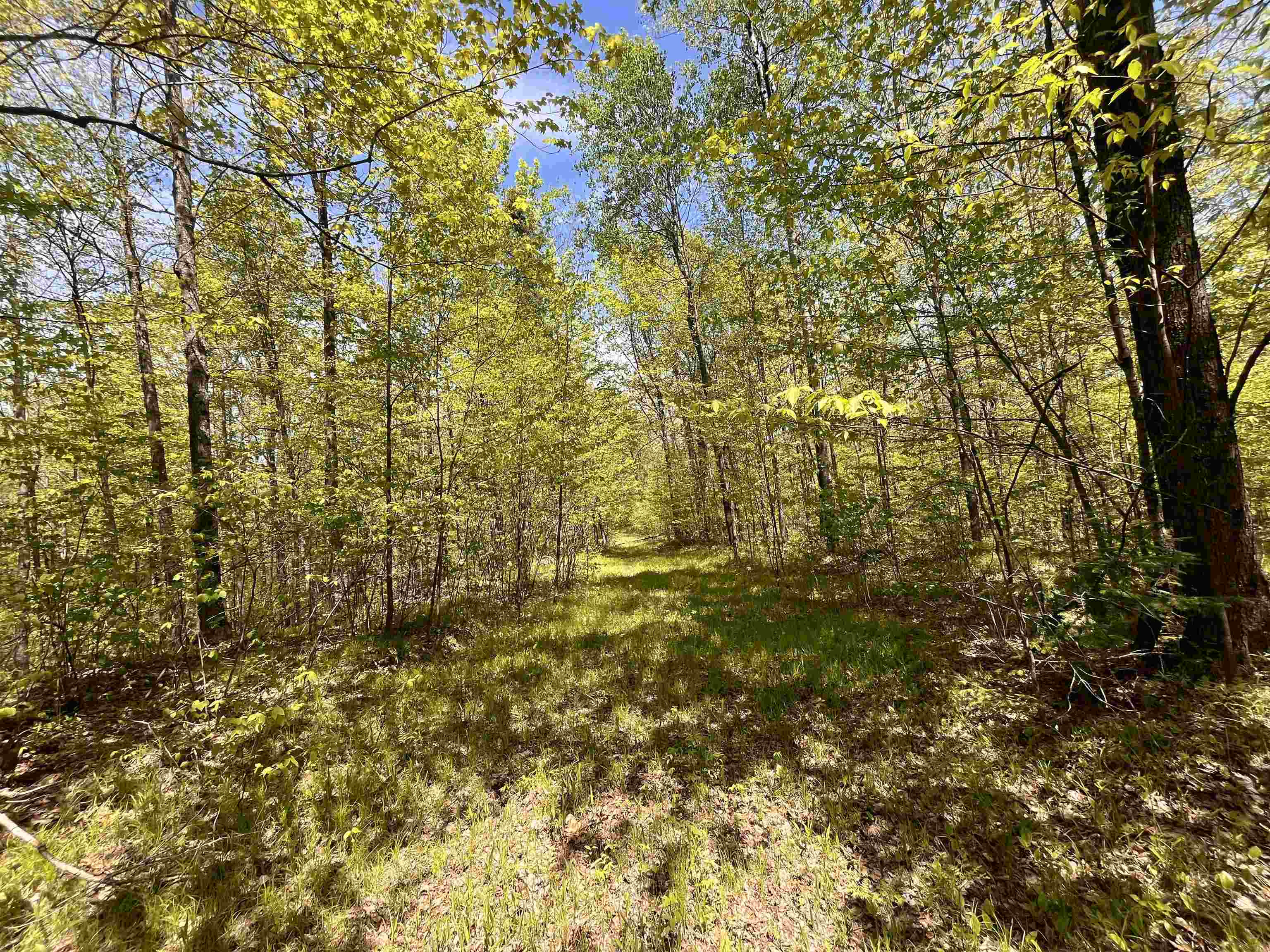 80-acres 80-acres Clausen Road Prentice, WI 54556 - Photo 7 of 17
