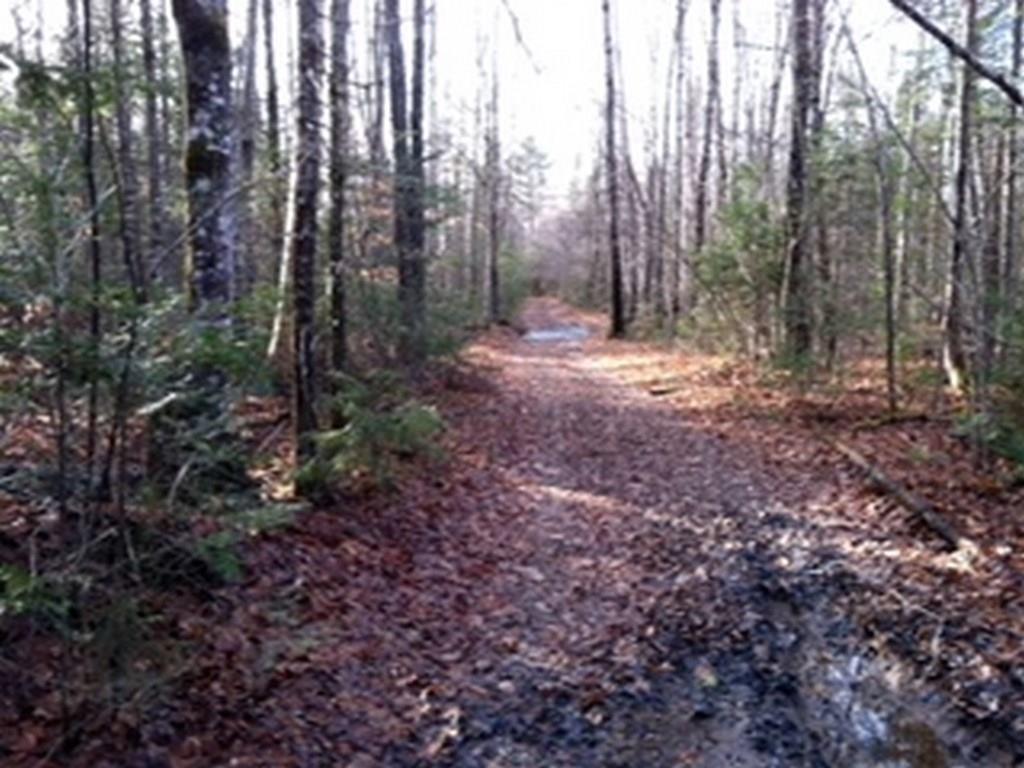 0 Hale Farm Road Lee, ME 04455 - Photo 1 of 7 Photo