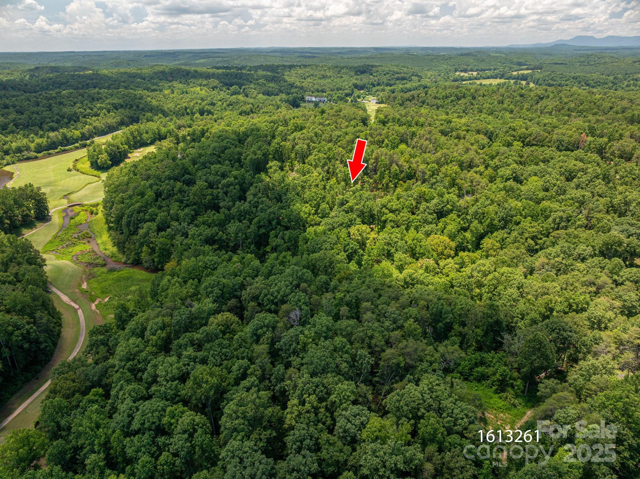 Lot 221 Plantation Drive Rutherfordton, NC 28139 - Photo 4 of 18