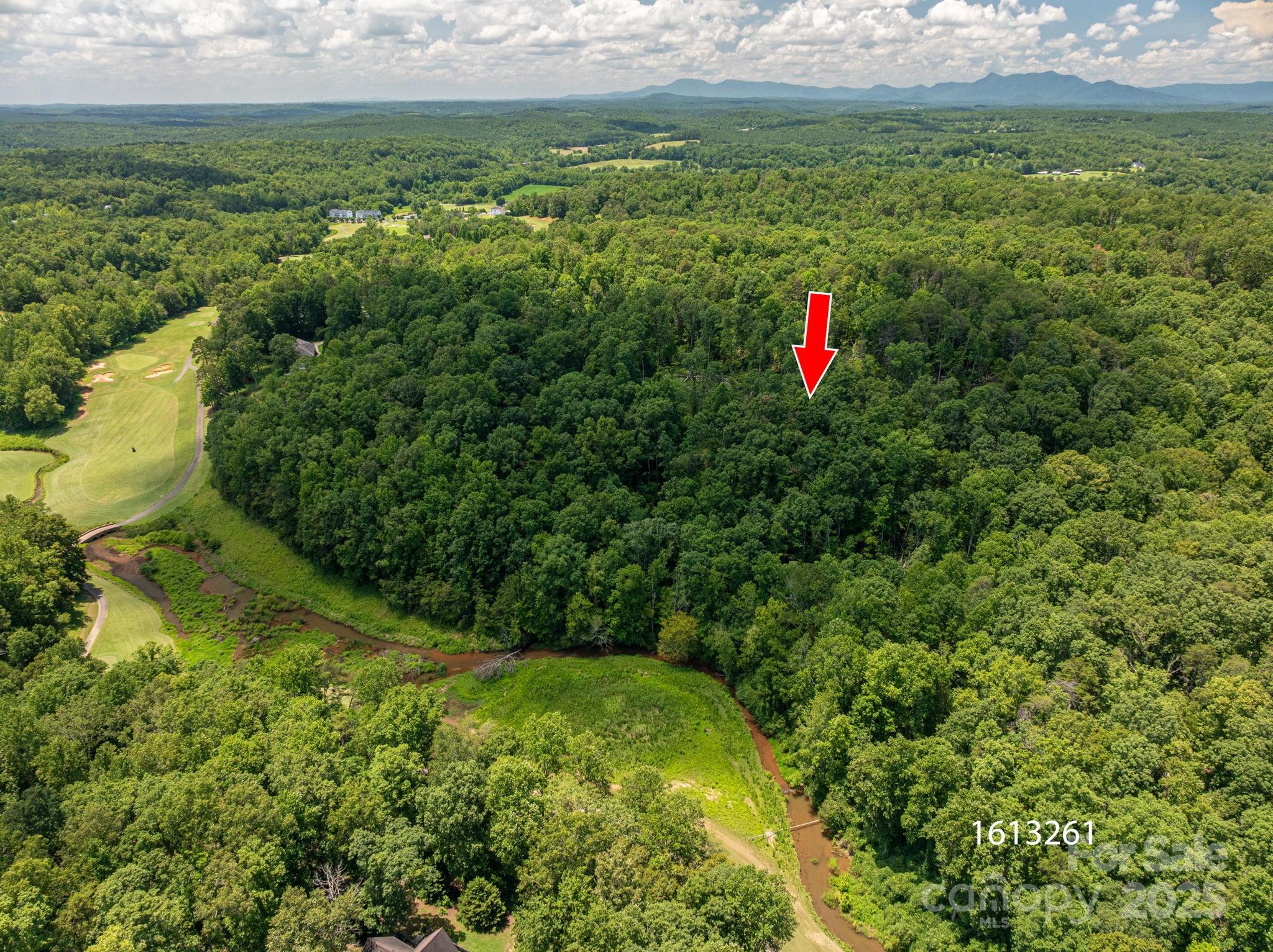 Lot 221 Plantation Drive Rutherfordton, NC 28139 - Photo 6 of 18 a view of a lush green space with a lush green forest